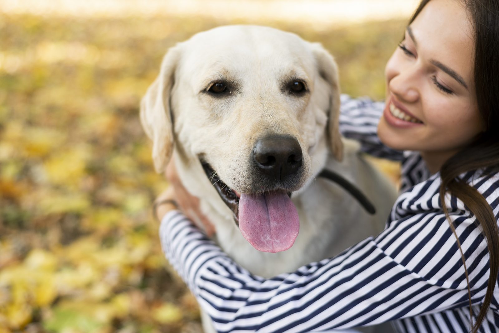 A young woman hugging a happy labrador outdoors