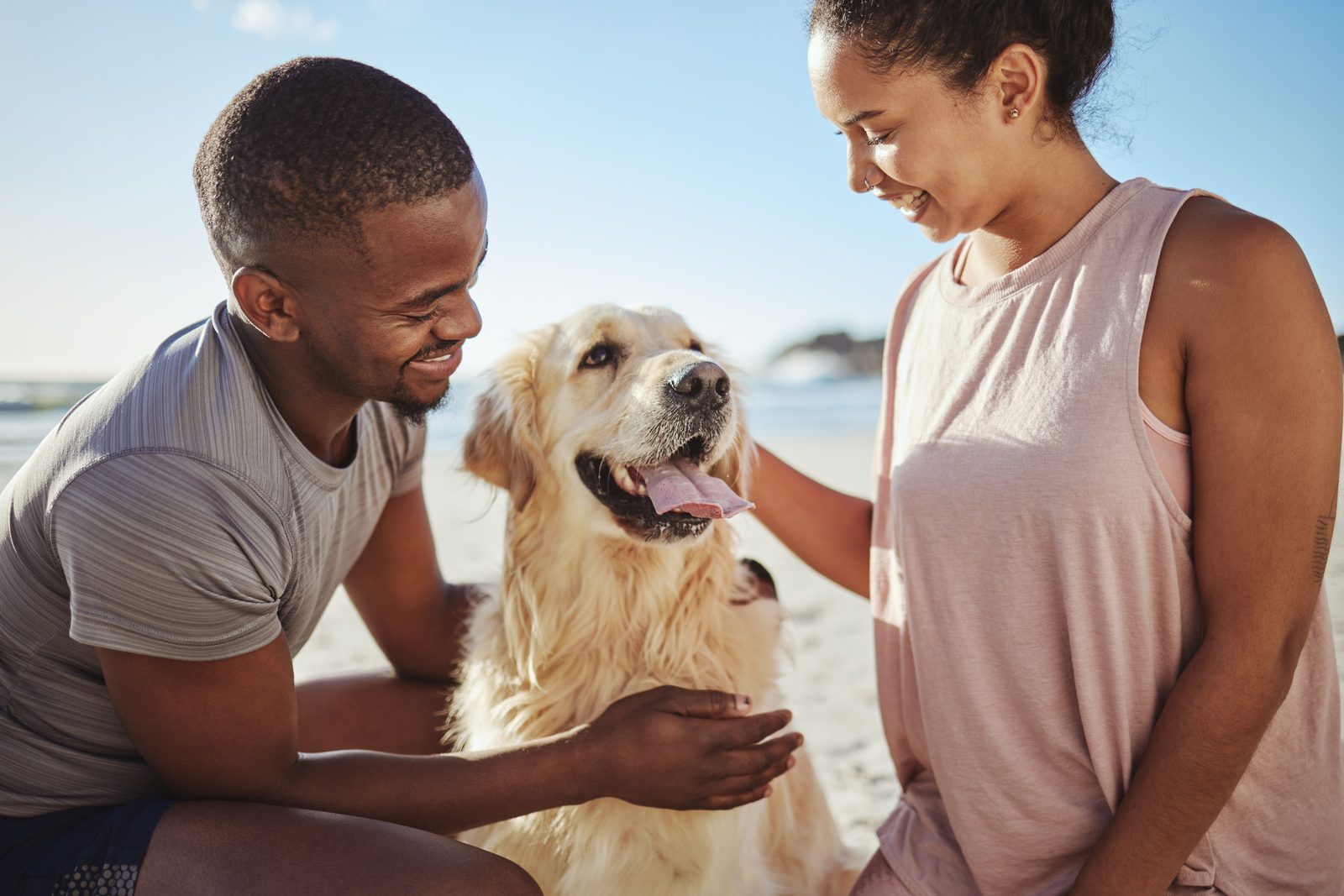 A couple walking their dog on the beach