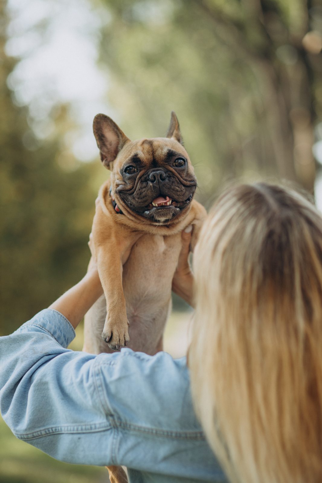 A woman holding her French bulldog