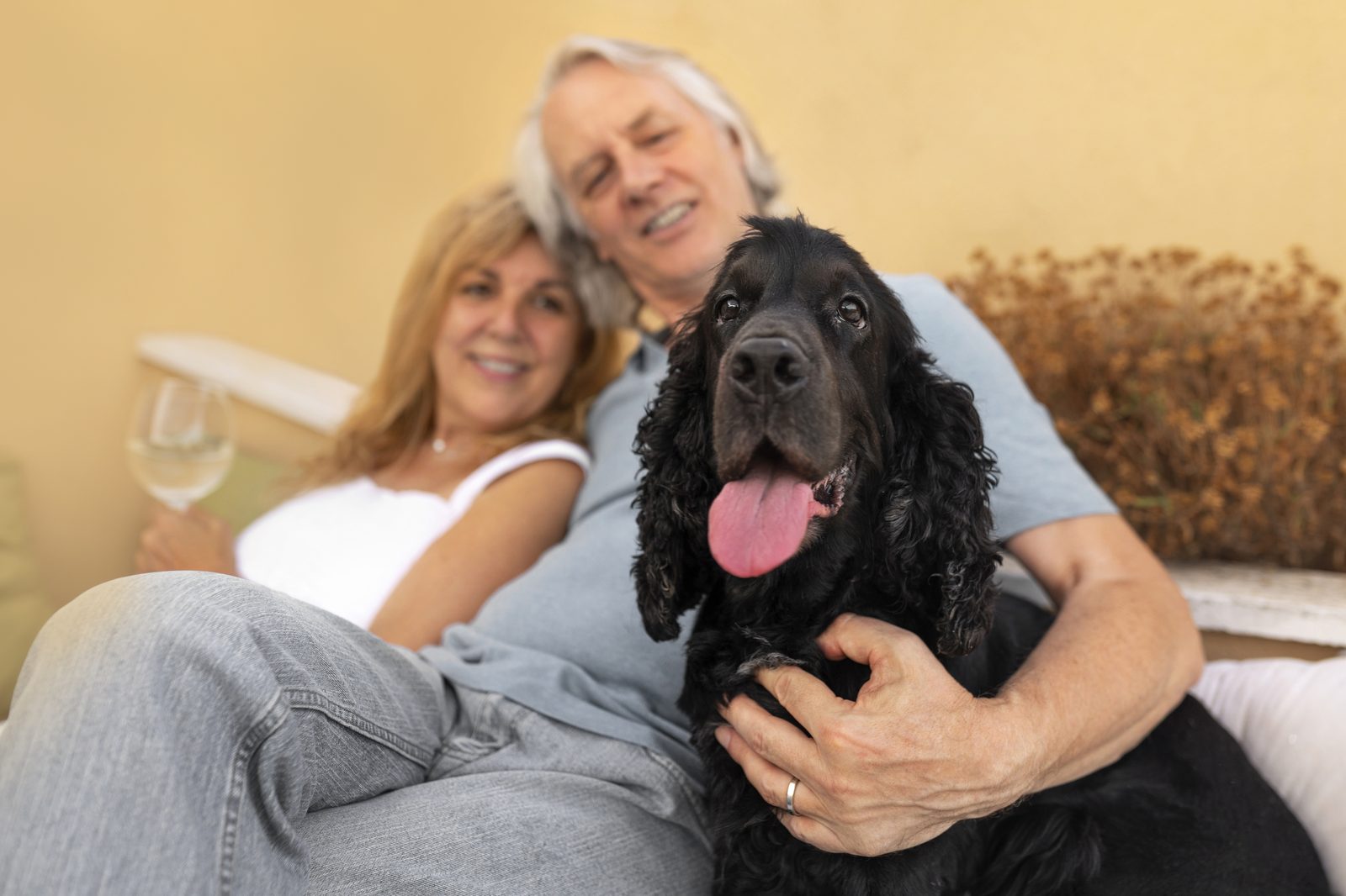 A smiling couple with the dog they adopted