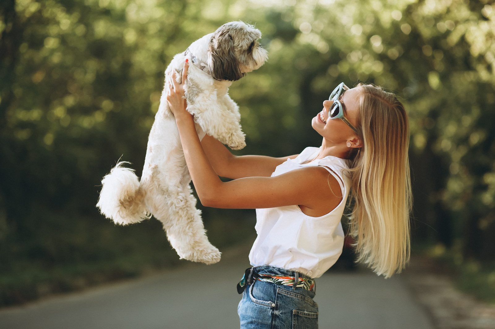 A volunteer walking a dog through a sunny park